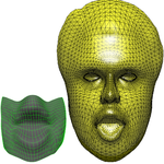 Adaptive Physics–Inspired Facial Animation